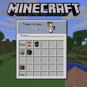 Player Heads in Minecraft